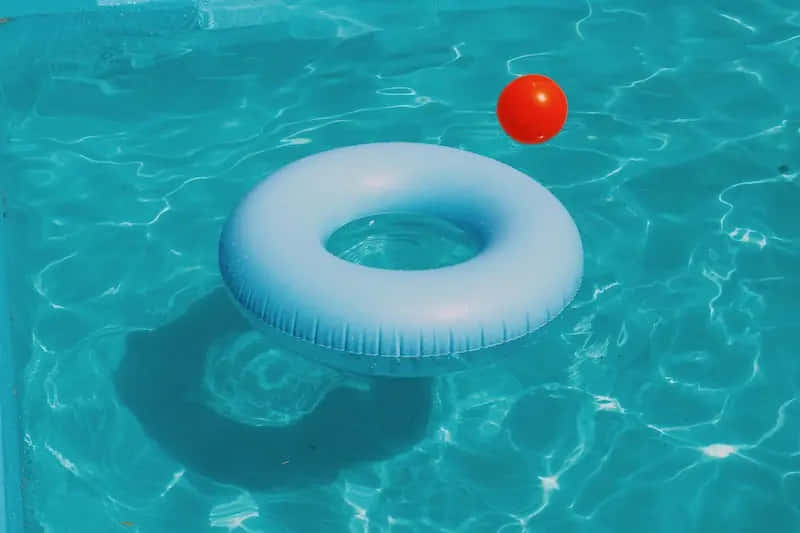 Pool Water Ring And Ball Floater