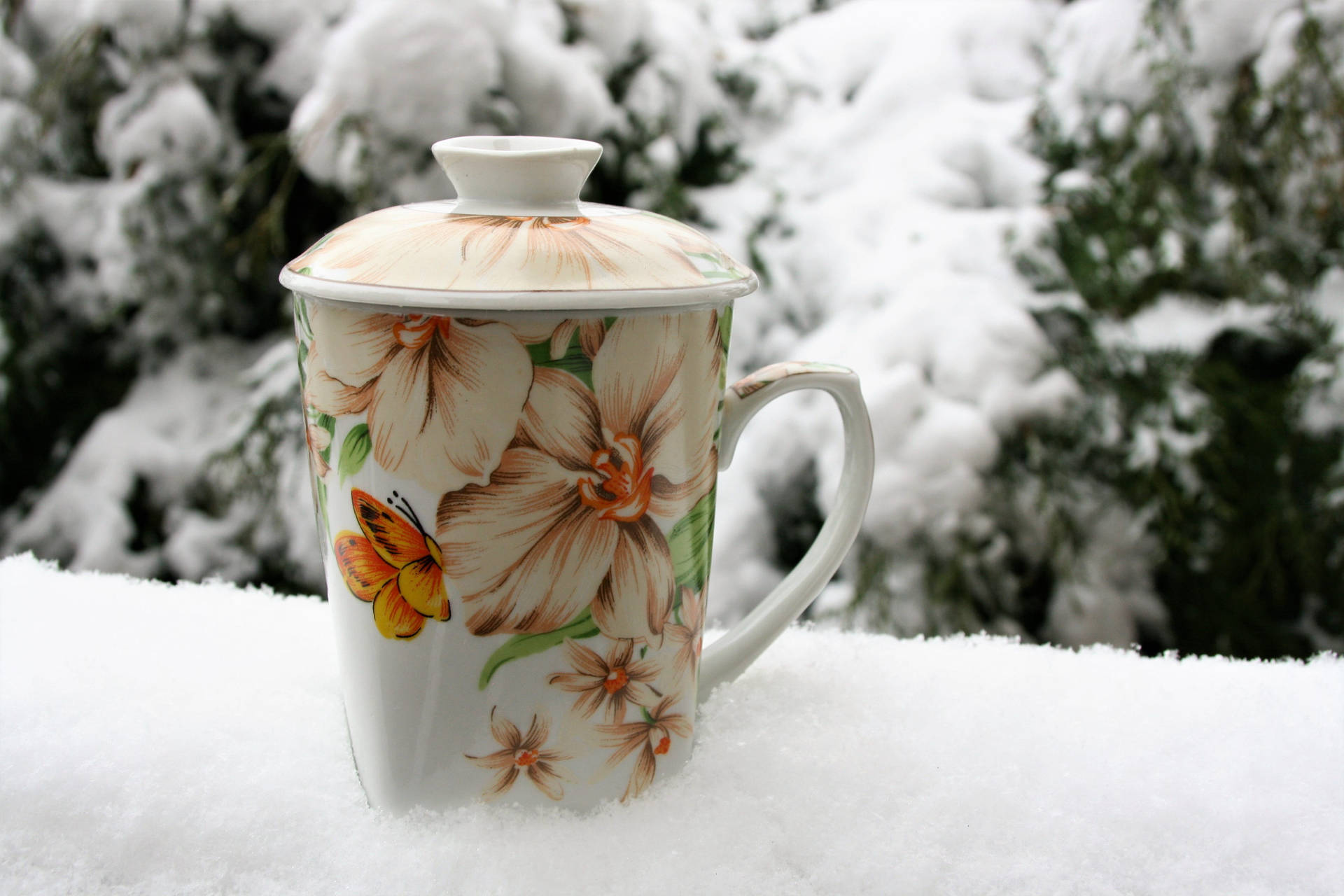 Porcelain Mug On Freezing Temperature Background