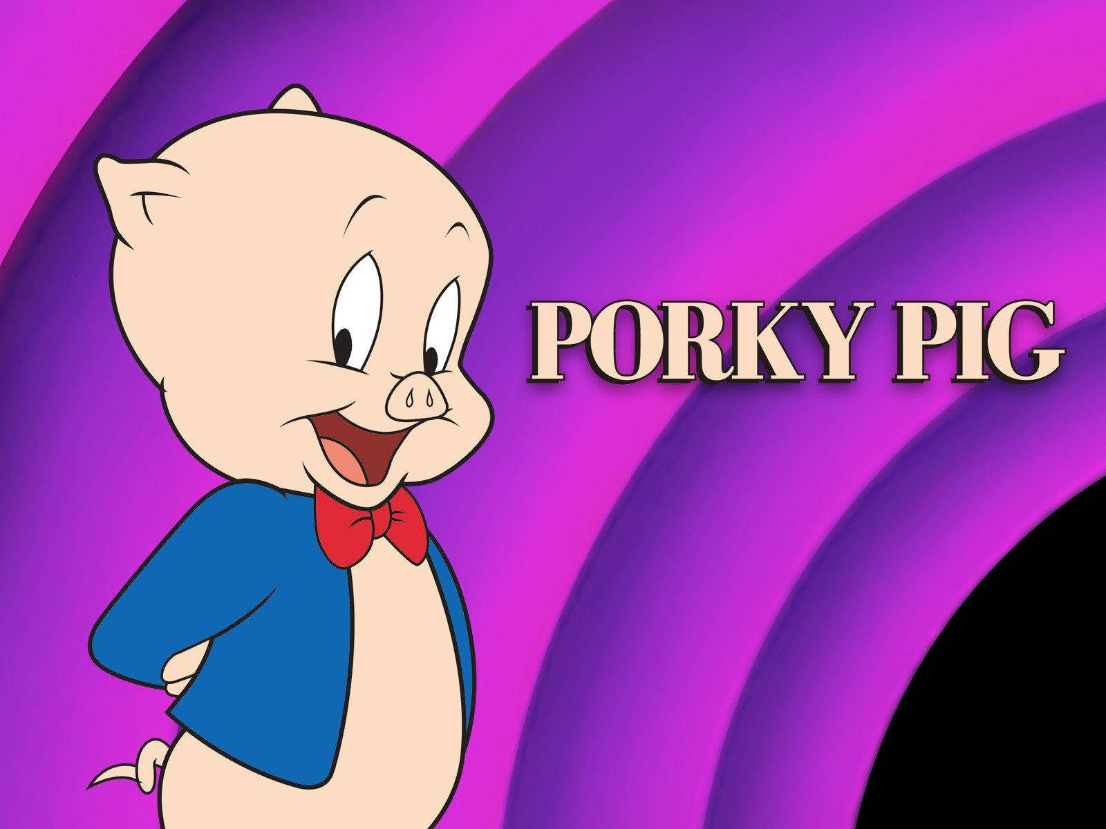 Porky Pig Classic Cartoon Background