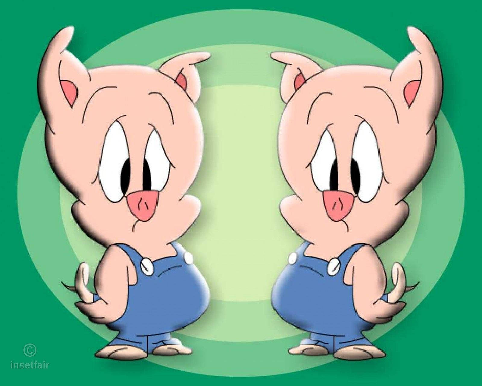Porky Pig Fictional Character
