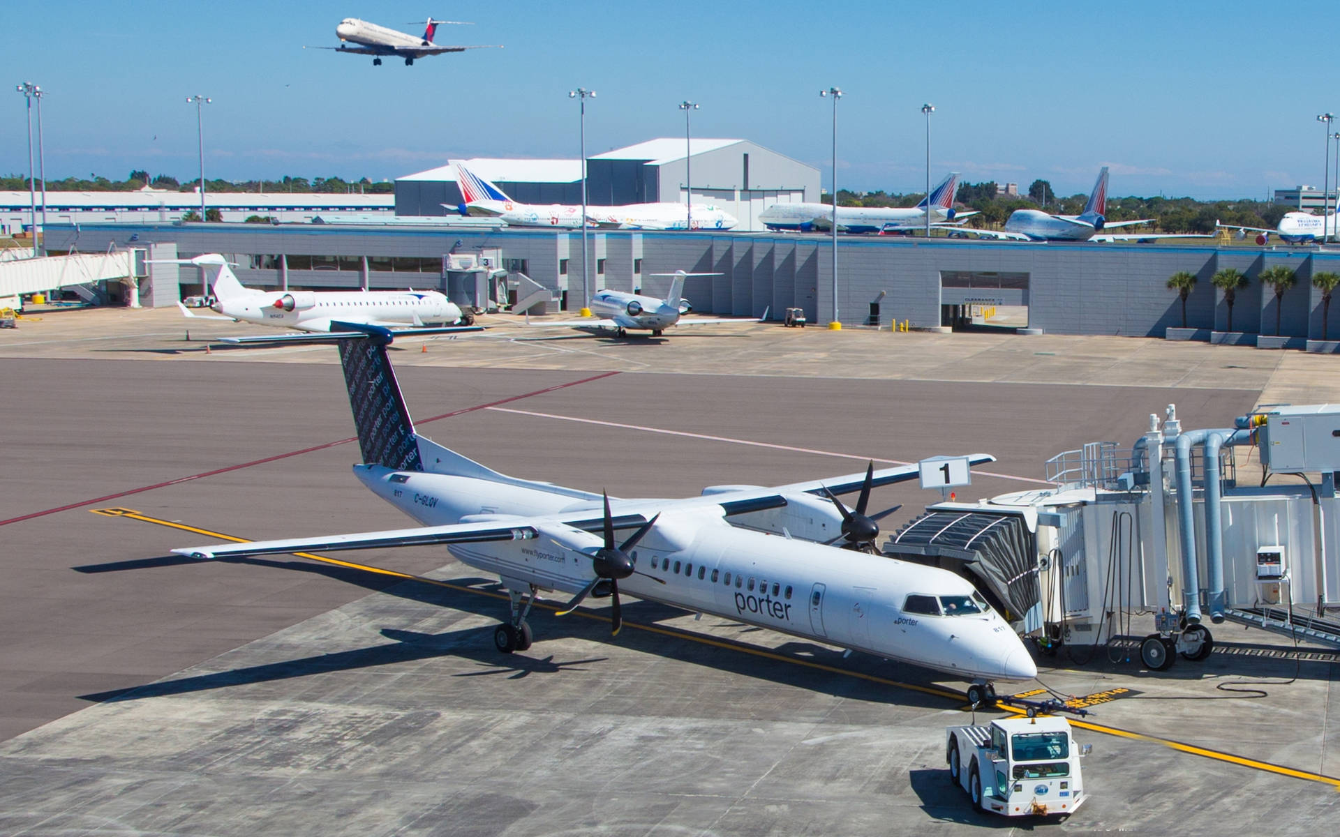 Porter Airlines Aircraft Background