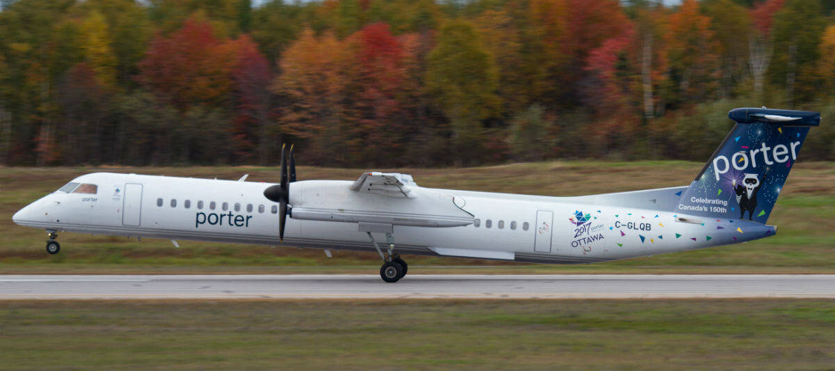 Porter Airlines Autumn Trees Background