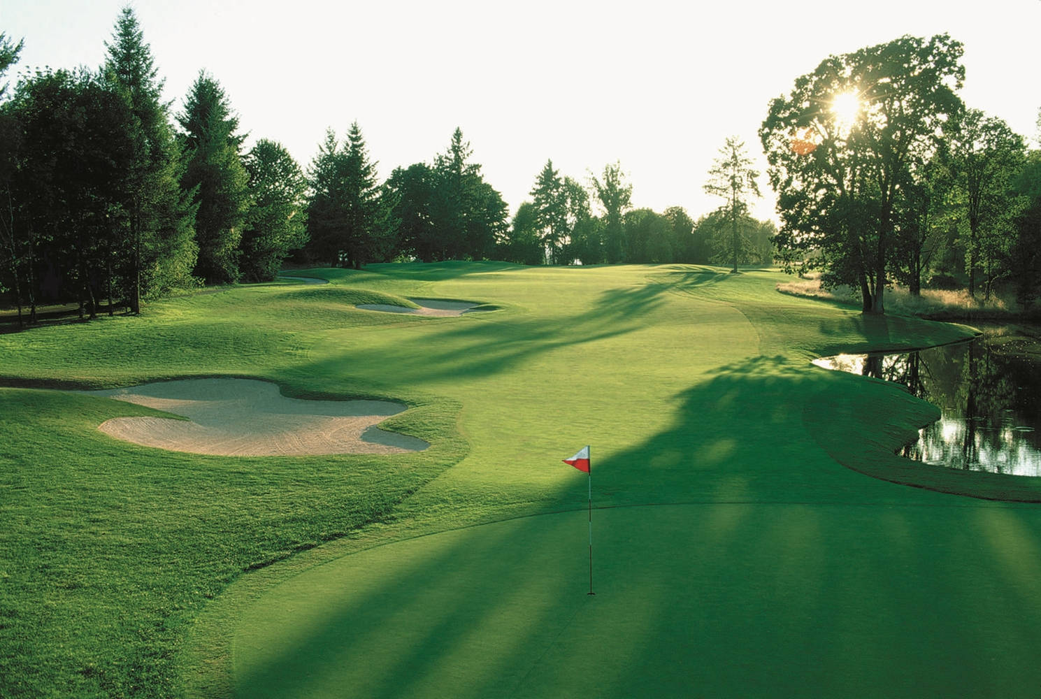 Portland Country Golf Course Desktop Background