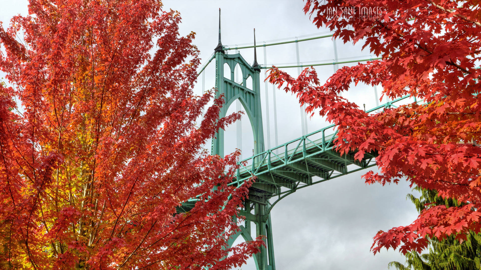 Portland St Johns Bridge Autumn Background