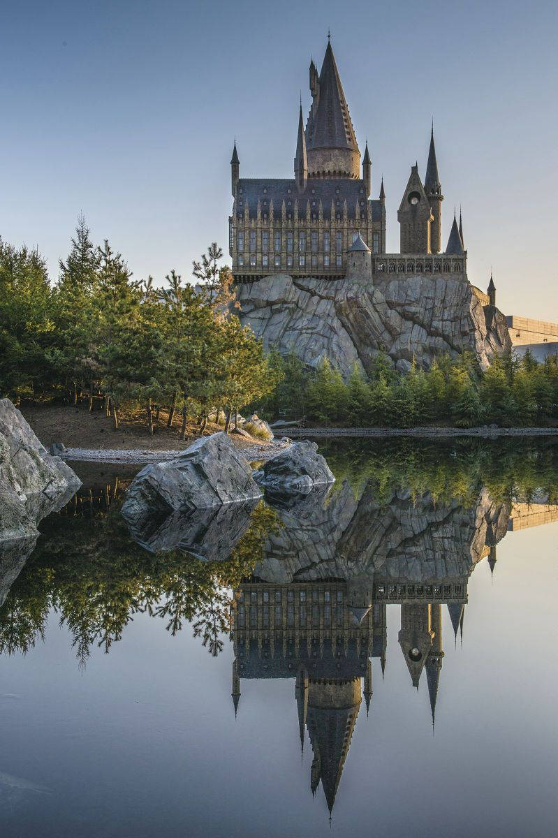 Portrait Harry Potter Hogwarts Iphone Background