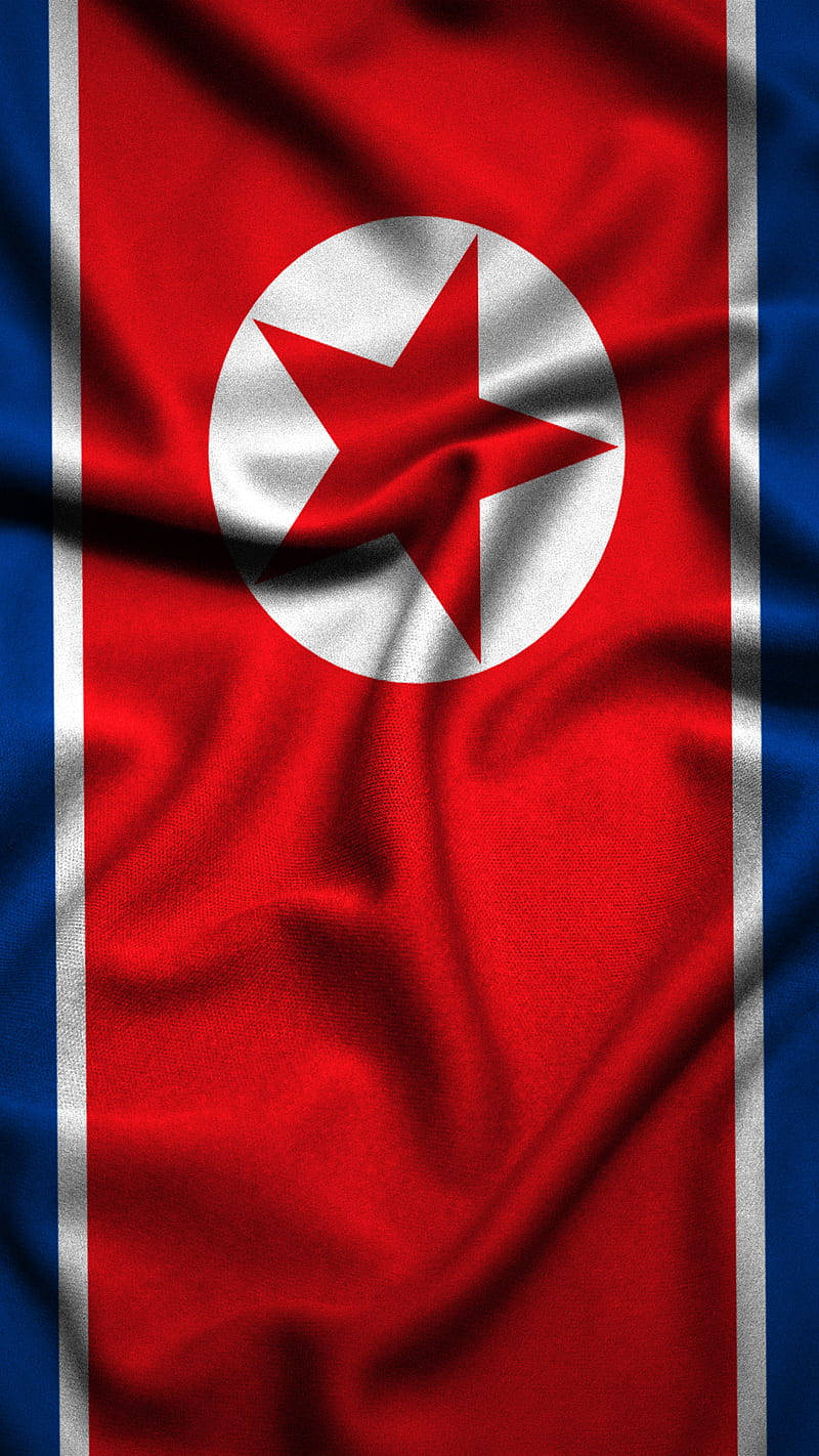 Portrait North Korea Flag Wrinkled Effect Background