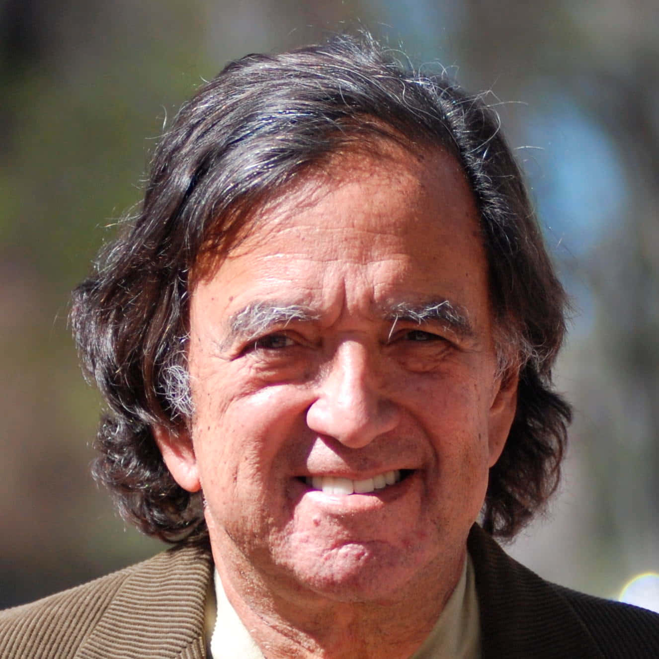 Portrait Of Bill Richardson Background