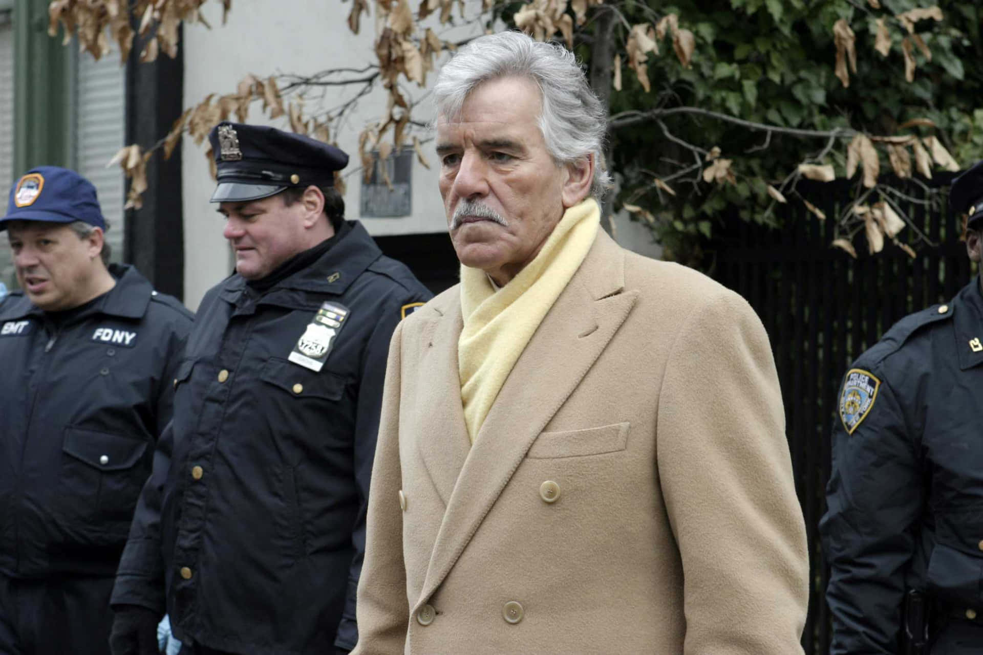 Portrait Of Dennis Farina