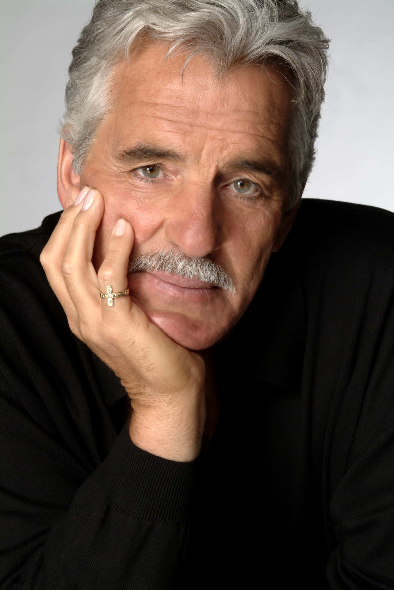 Portrait Of Dennis Farina
