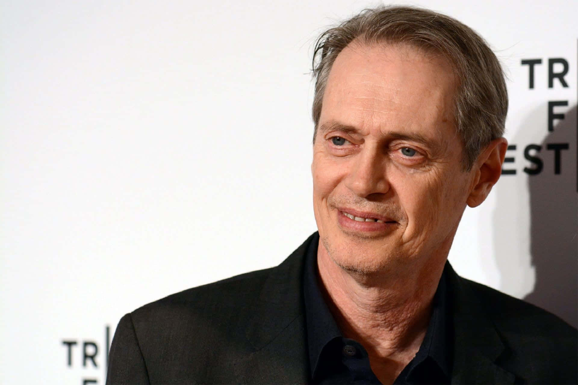 Portrait Of The Talented Hollywood Actor, Steve Buscemi