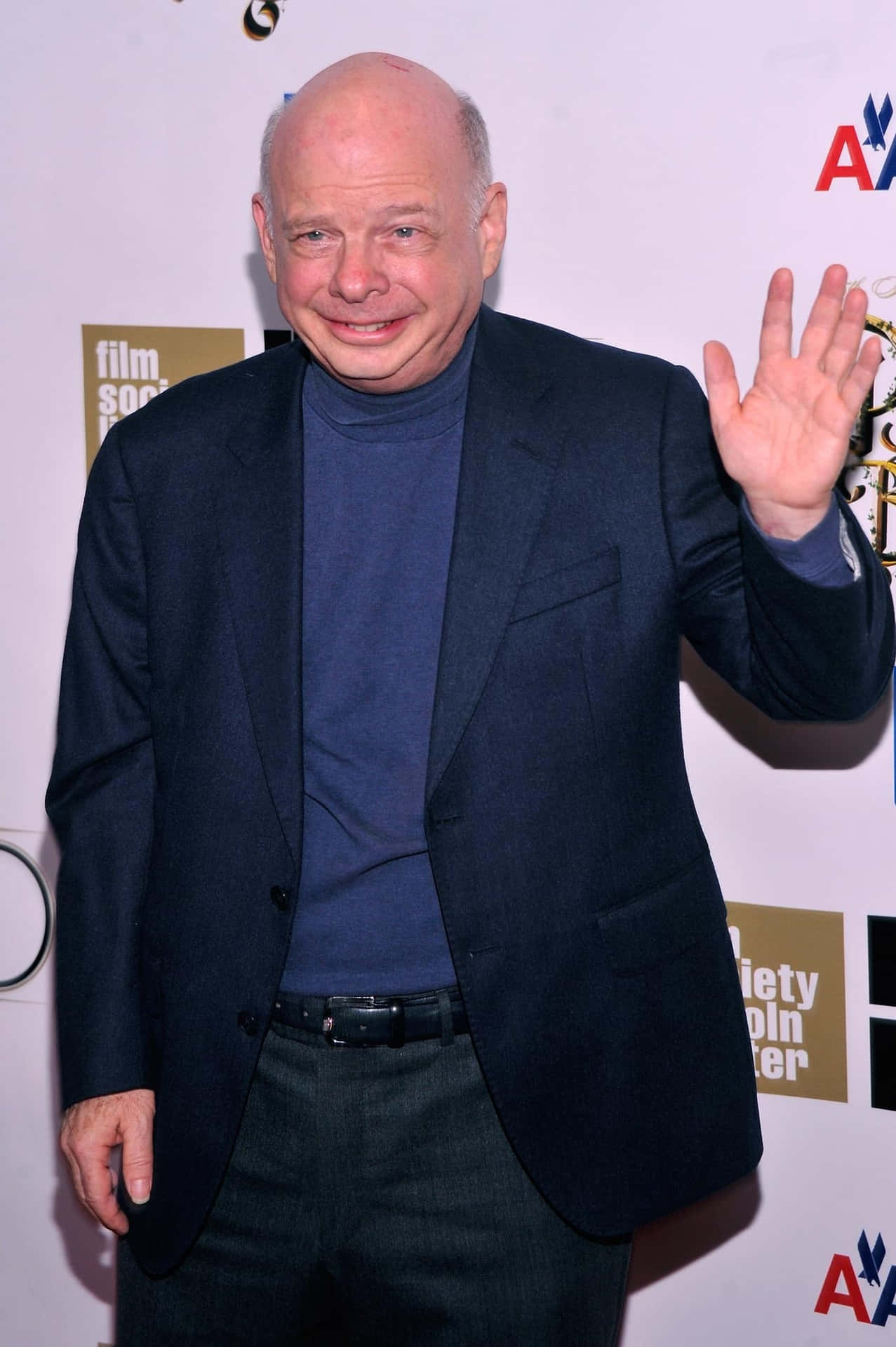 Portrait Of Wallace Shawn, The Versatile American Actor And Playwright Background