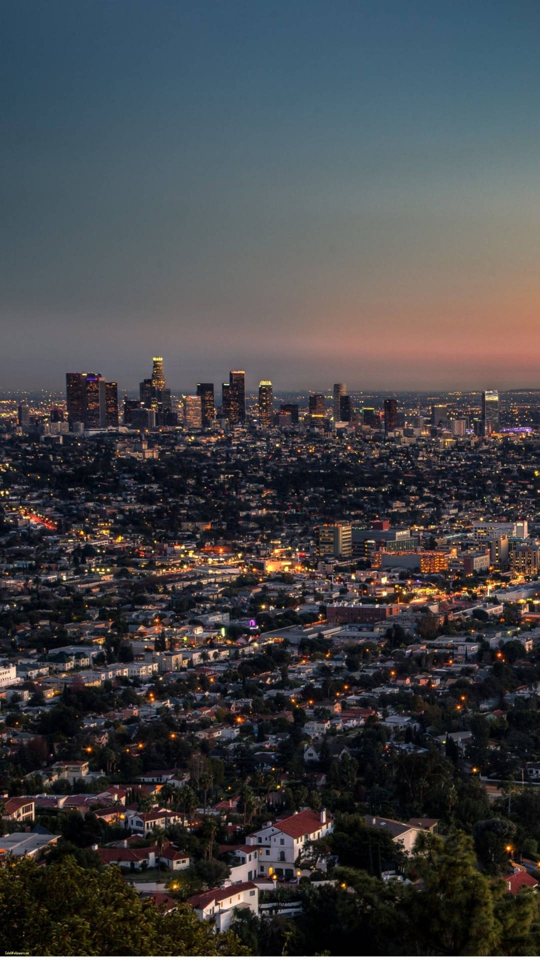 Portrait Panorama Of Los Angeles 4k Background