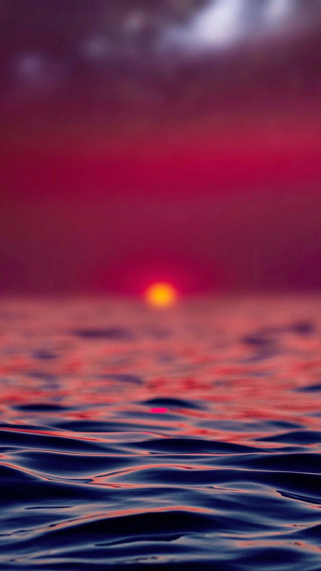 Portrait Photography Pink Sunset Beach Waves Close Up Background