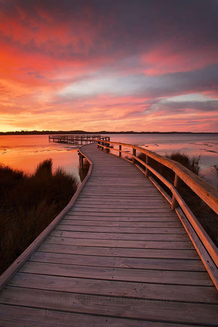 Portrait Photography Sunset Beach Bridge Background