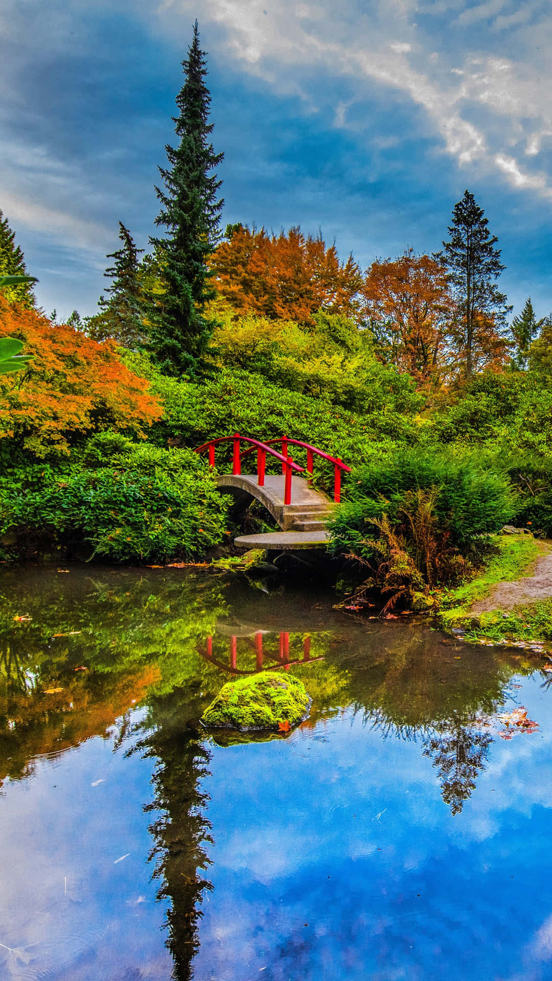 Portrait Pond View Background