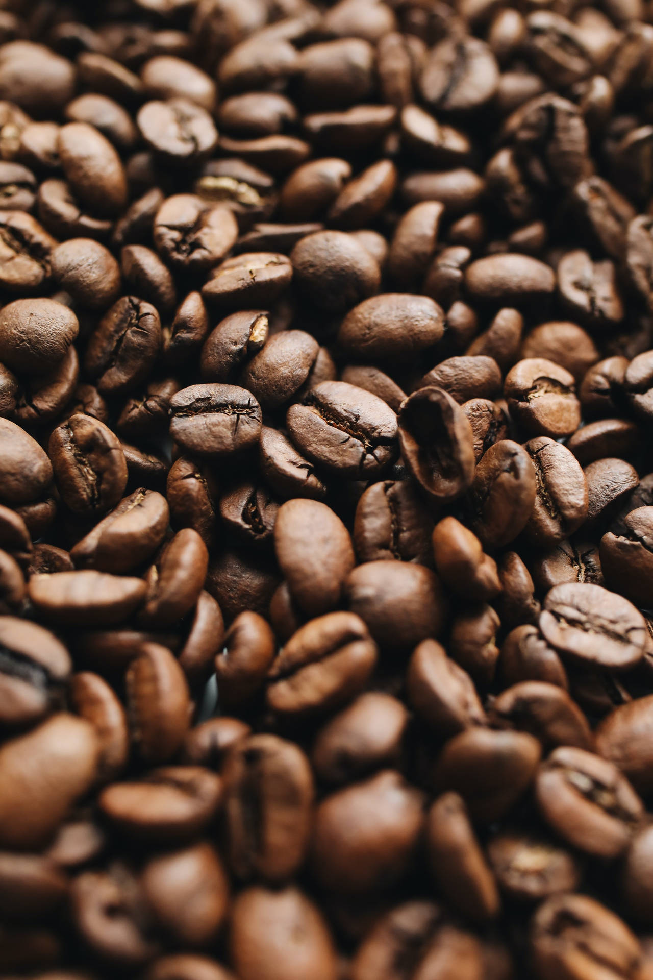 Portrait Shot Of Coffee Beans Background