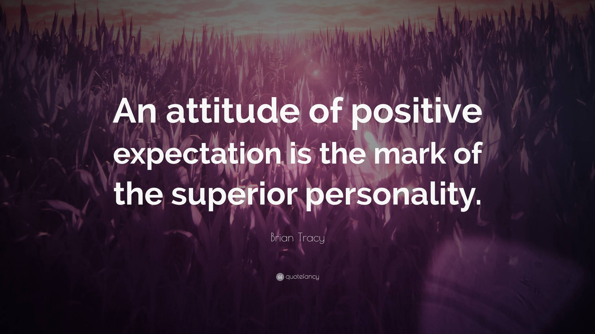 Positive Expectation Attitude 4k Background