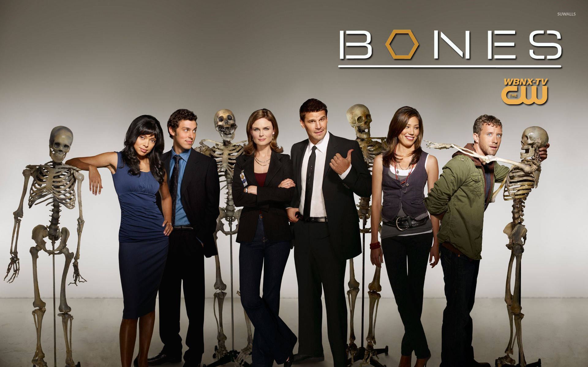 Poster Of Tv Show Bones Background