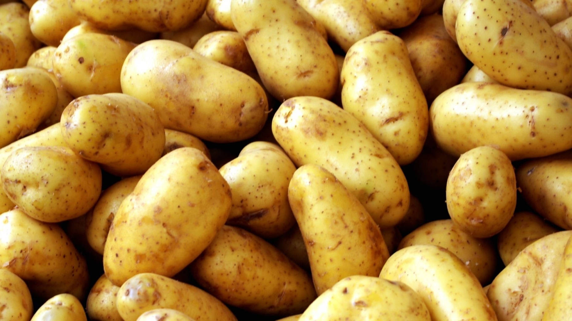 Potato Russet Vegetable Variety Background