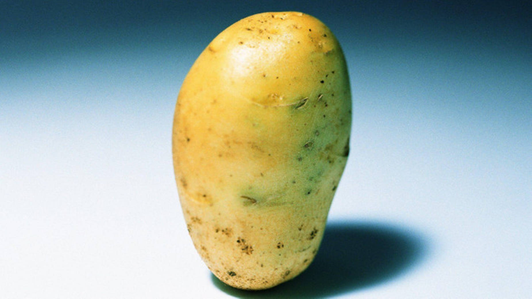 Potato With A Long Elongated Body Background