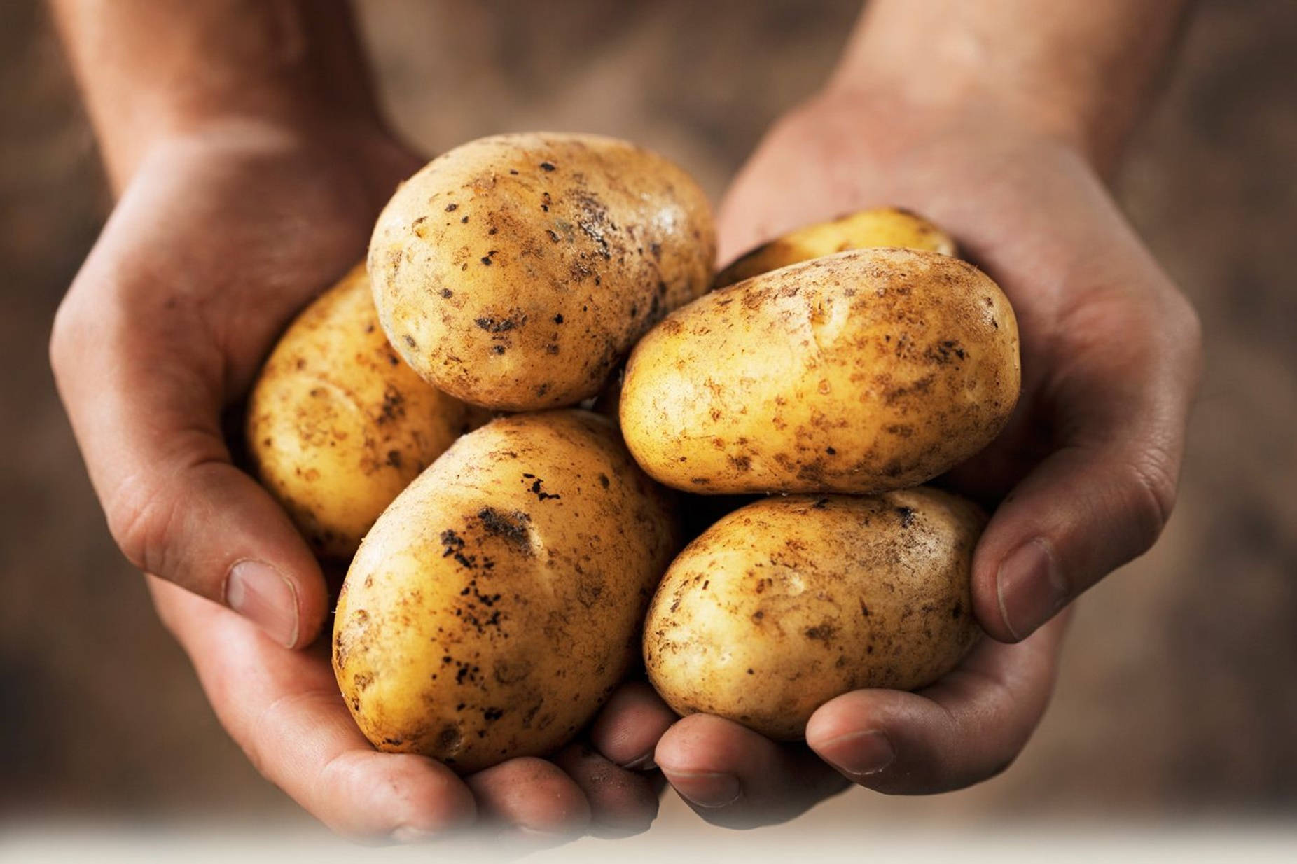 Potatoes And Hands Of A Man Background