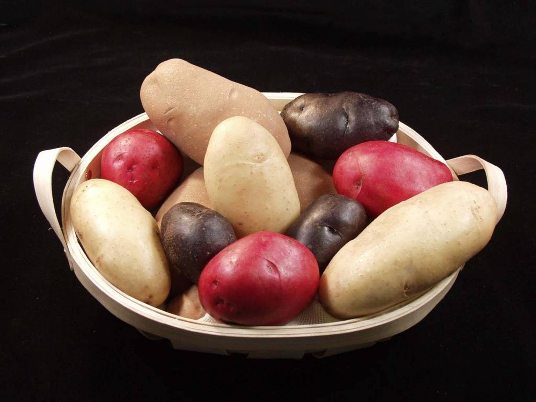 Potatoes Colorful Heirloom Variety Background