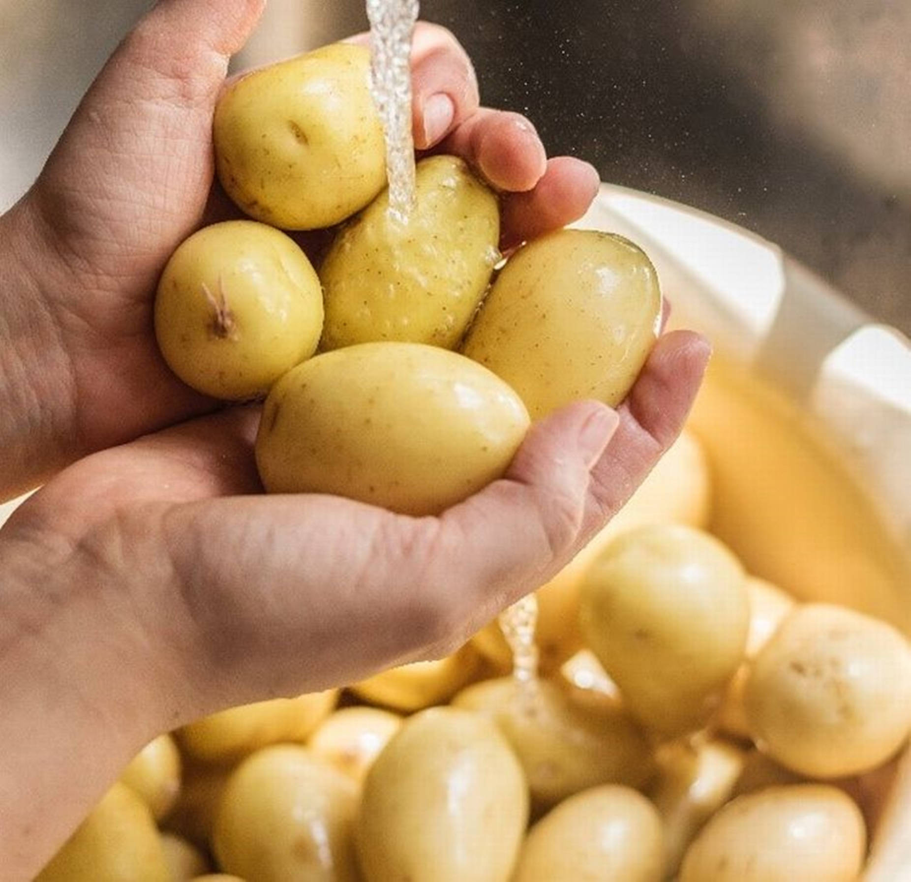 Potatoes Under Running Water Background