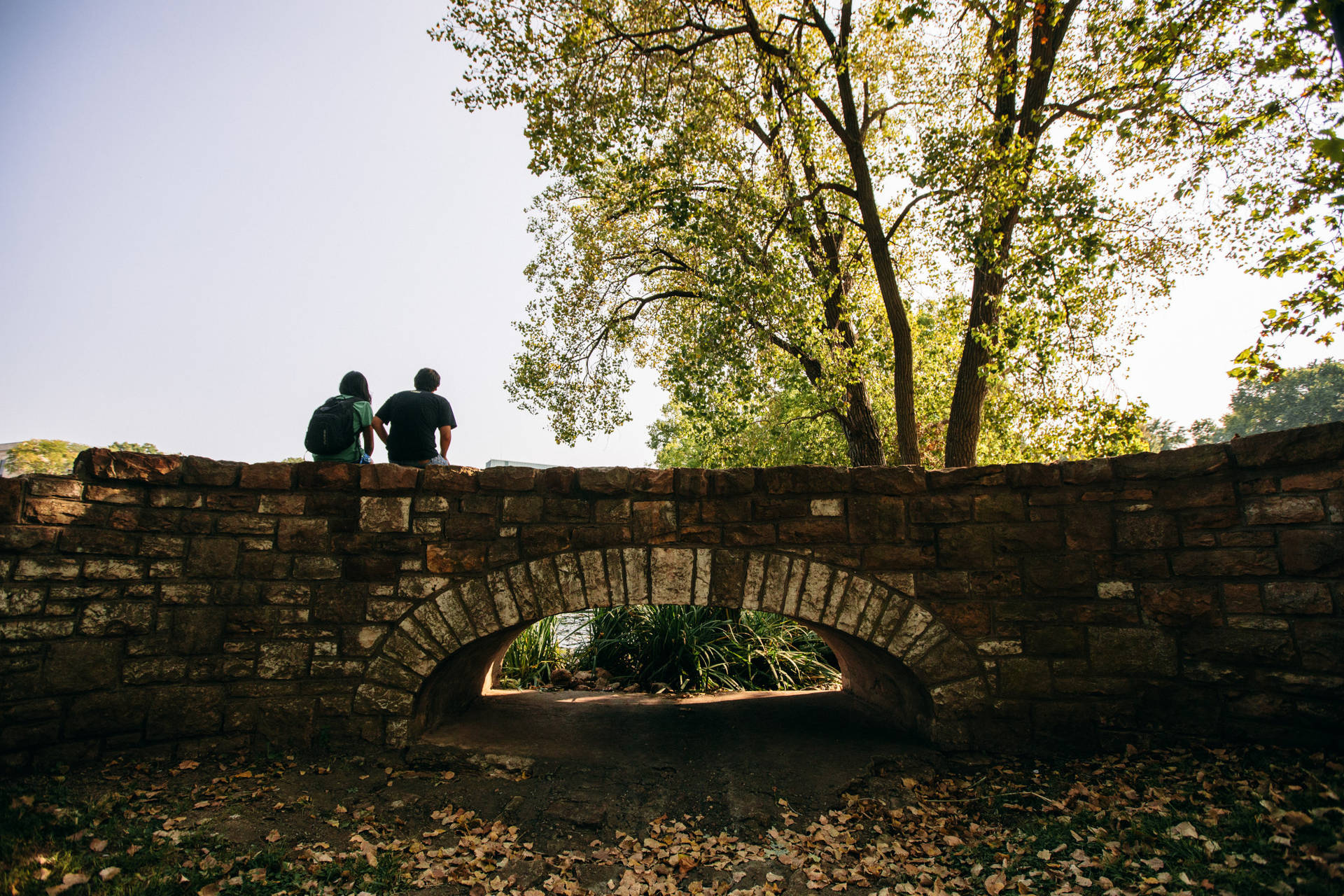 Potter Lake Bridge University Of Kansas Background