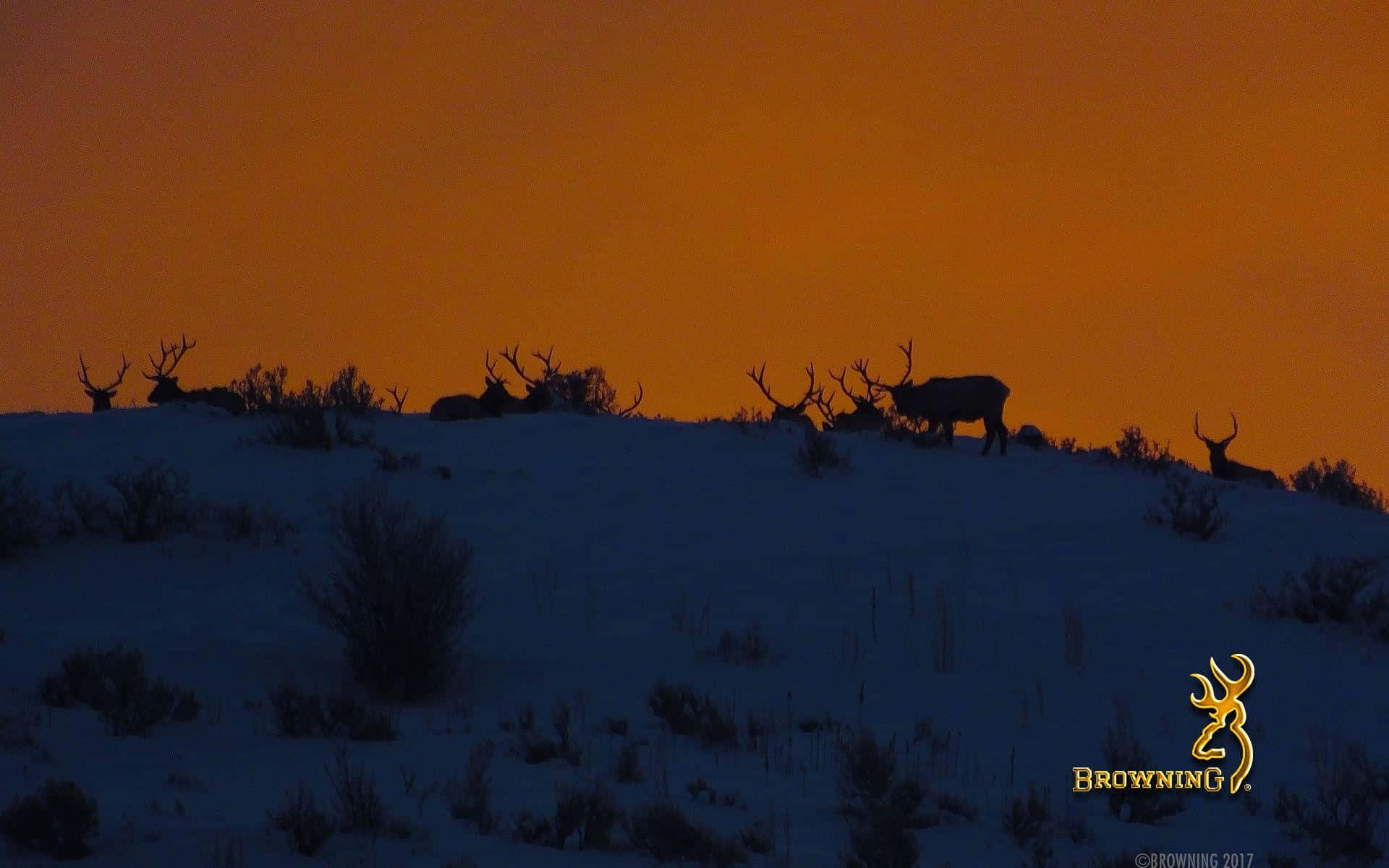 Power Of Browning Desktop Background