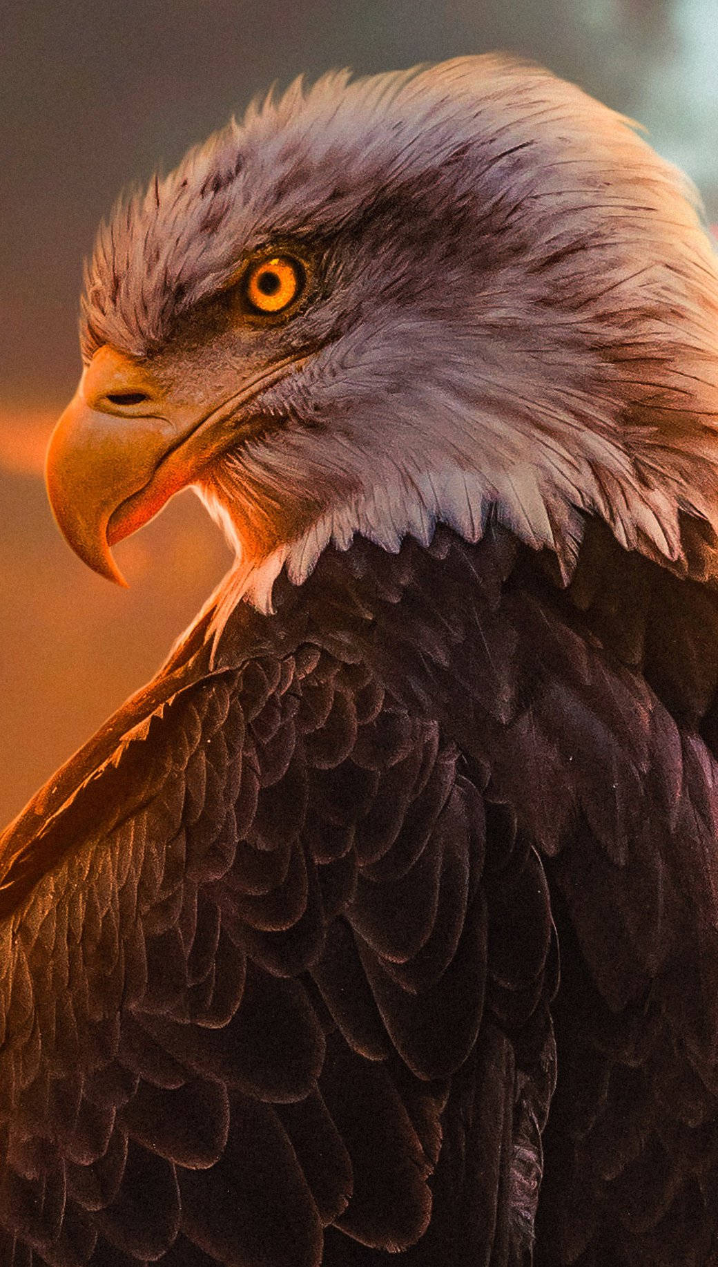 Powerful Aguila Portrait Background