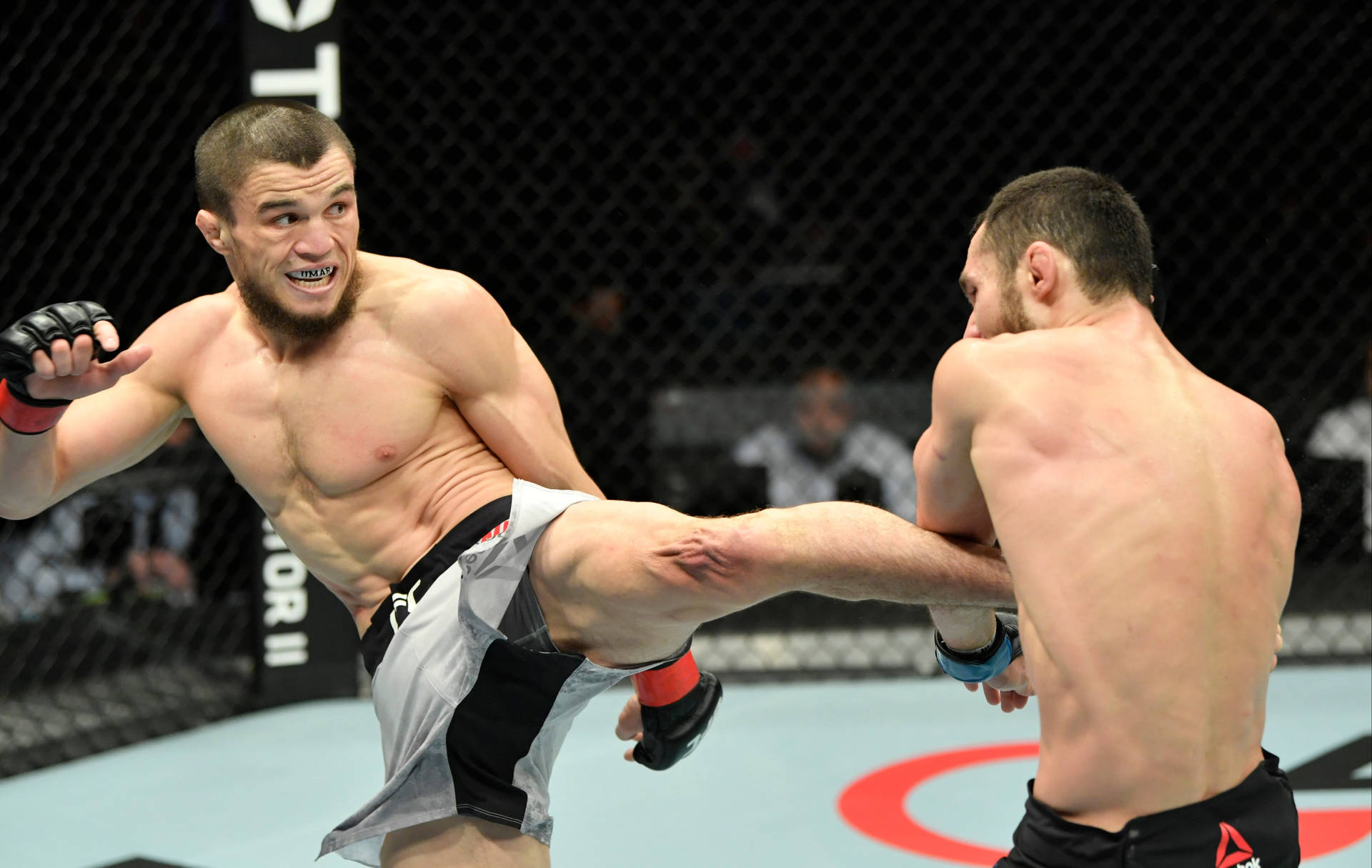 Powerful Kick Of Umar Nurmagomedov Background