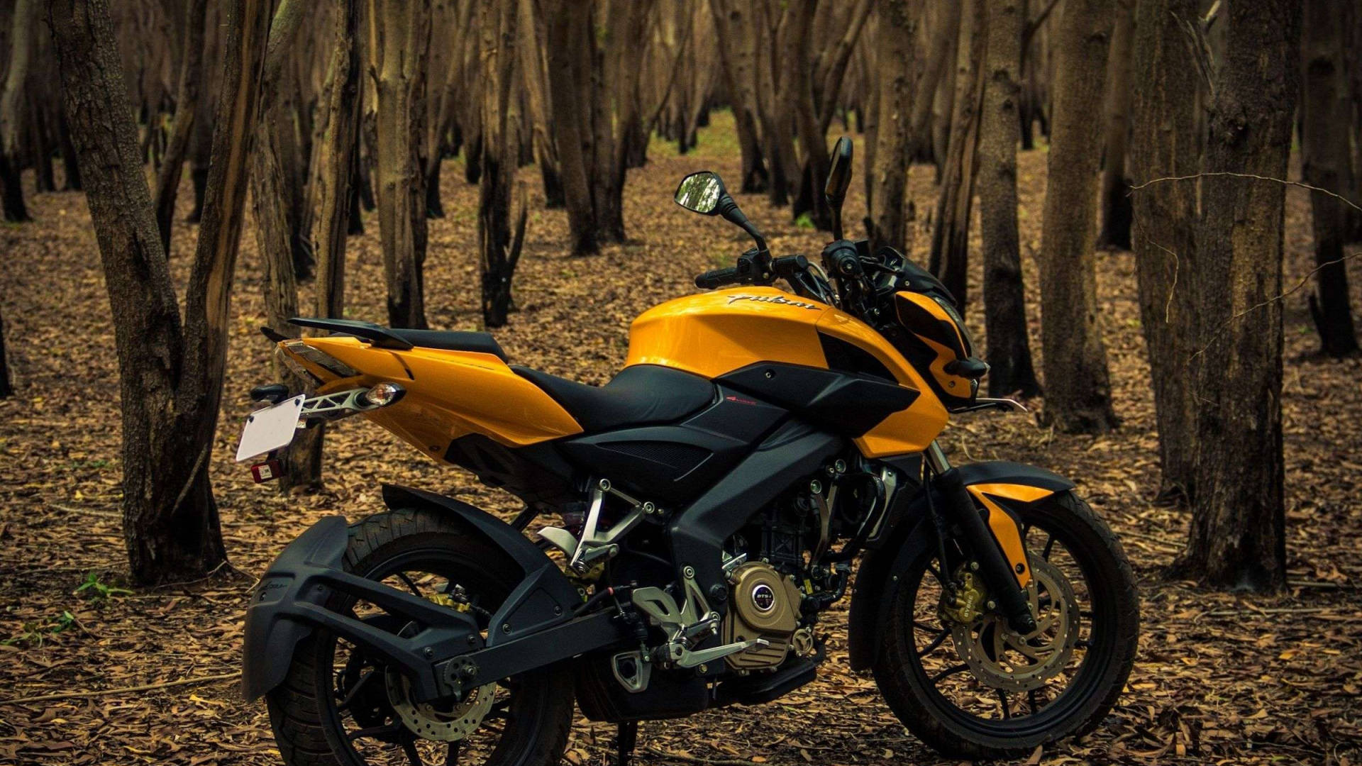 Powerful Pulsar Rs200 In The Depth Of The Forest
