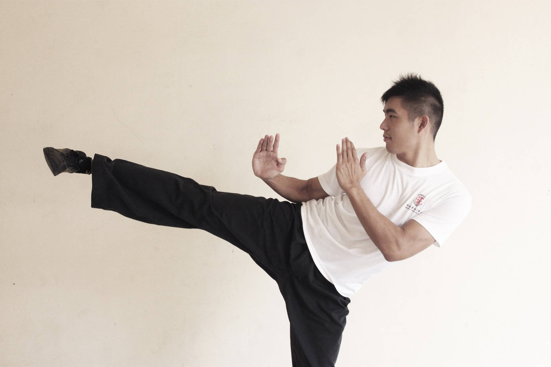 Powerful Wing Chun Kick In Action