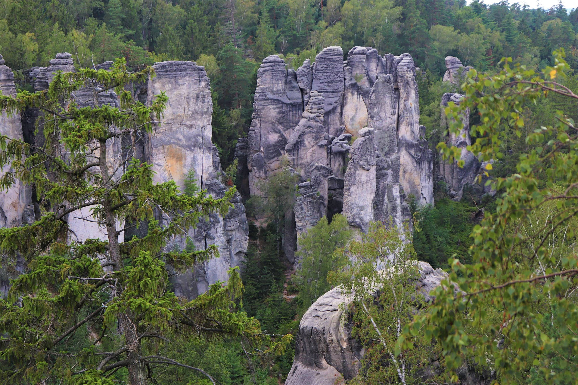 Prachov Rock Cliffs Czech Republic Background
