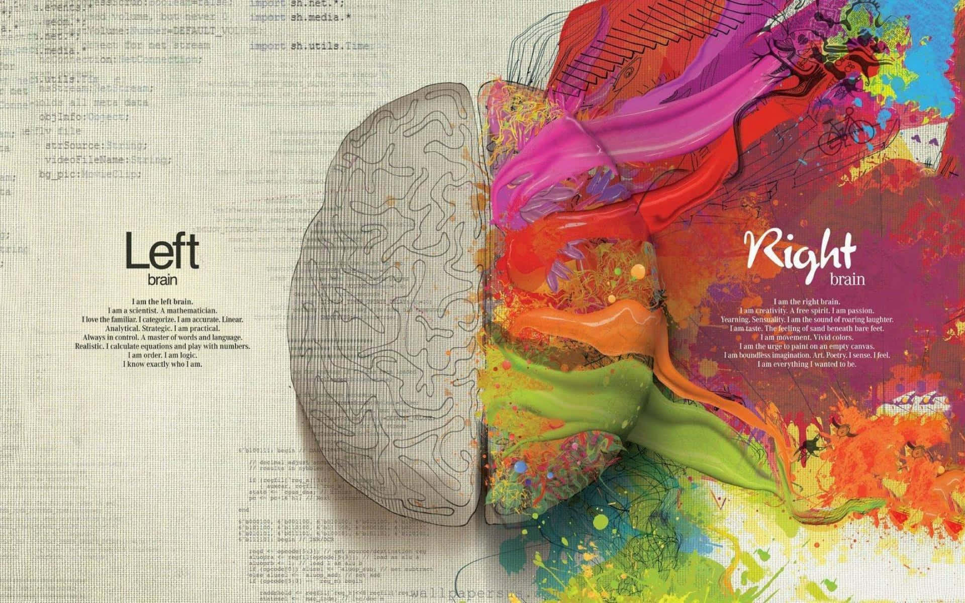 Practical Brain Part Illustration Background
