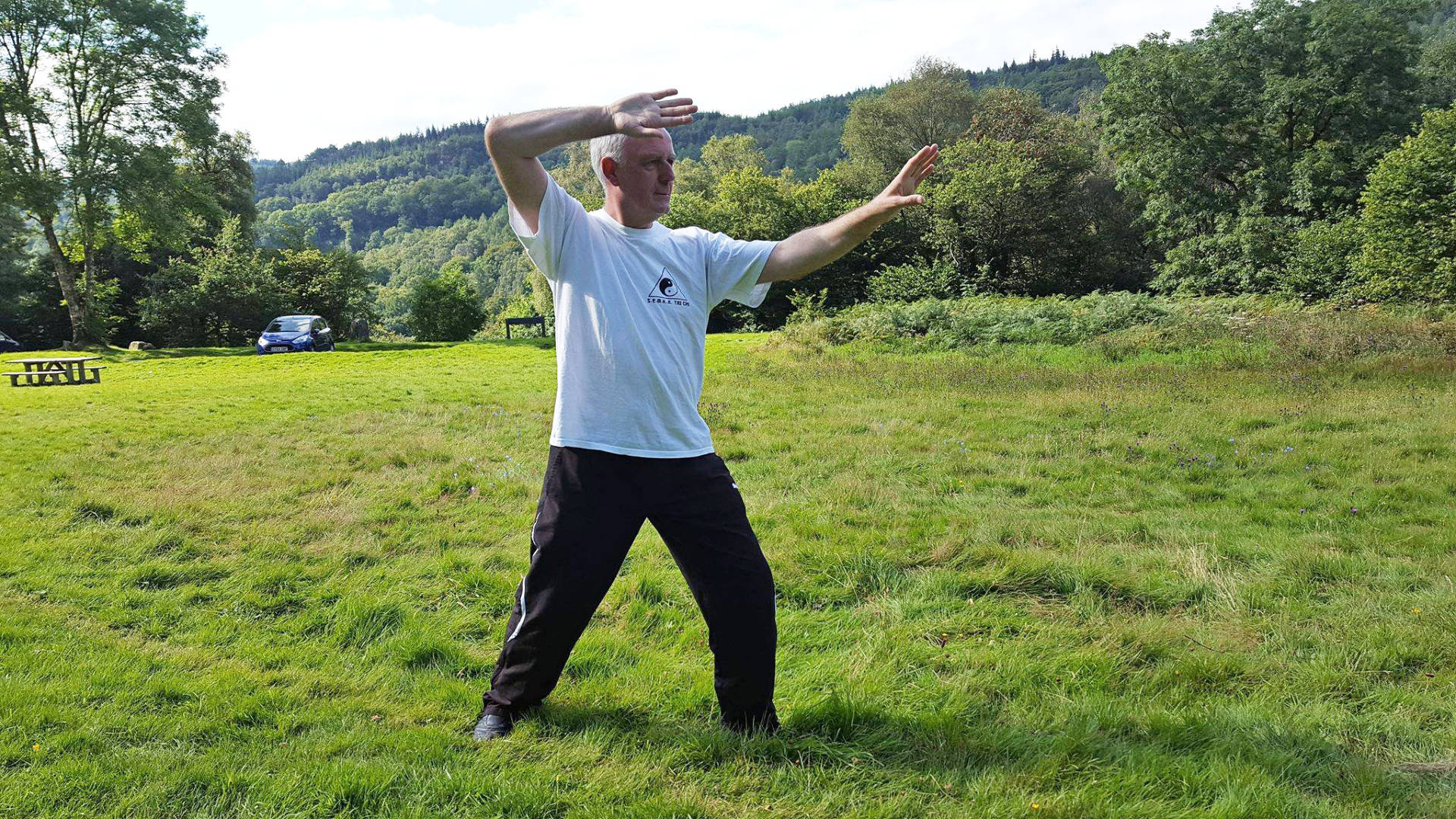 Practicing Tai Chi In A Serene Open Field Background