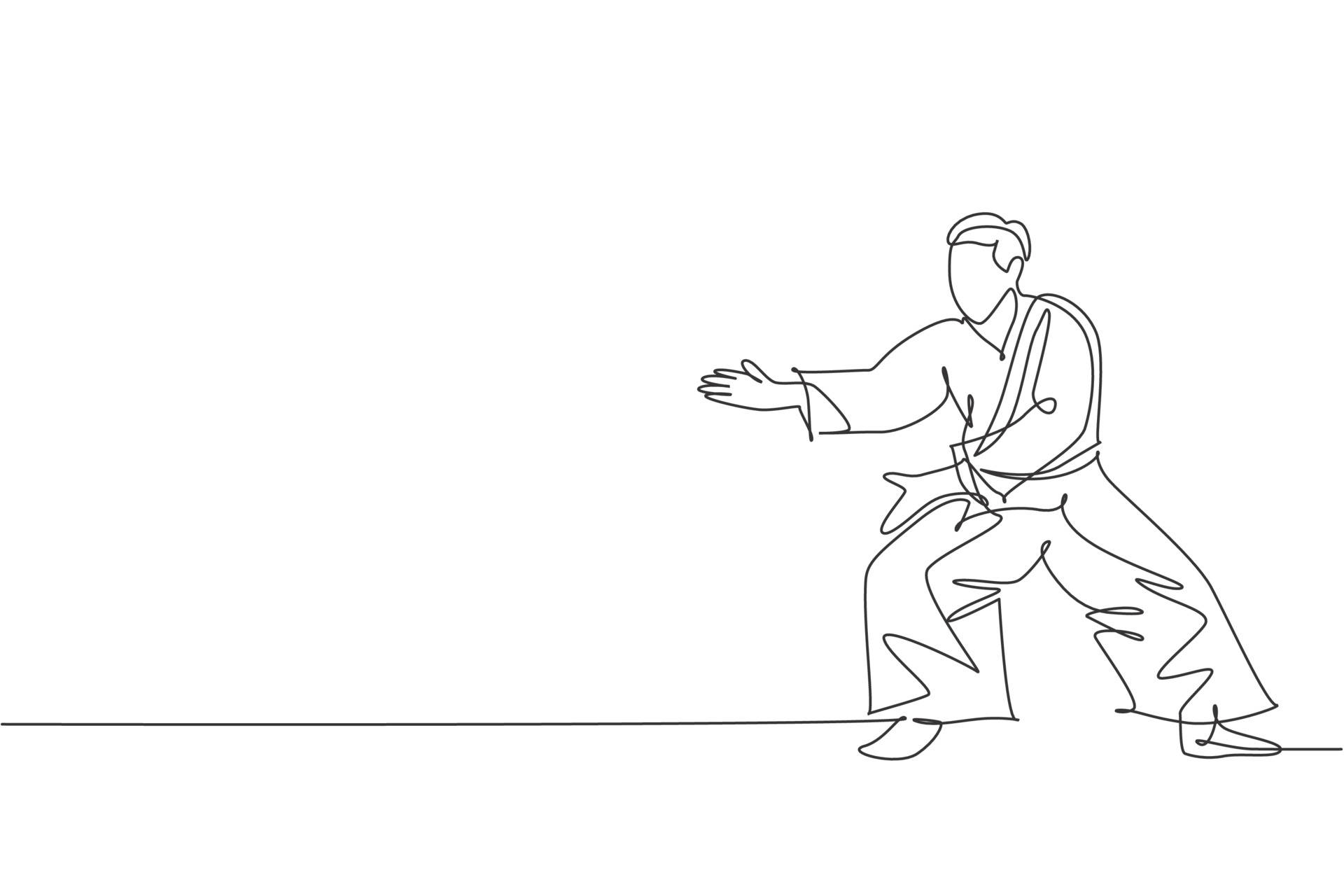 Practitioner Demonstrating Aikido Stance Background