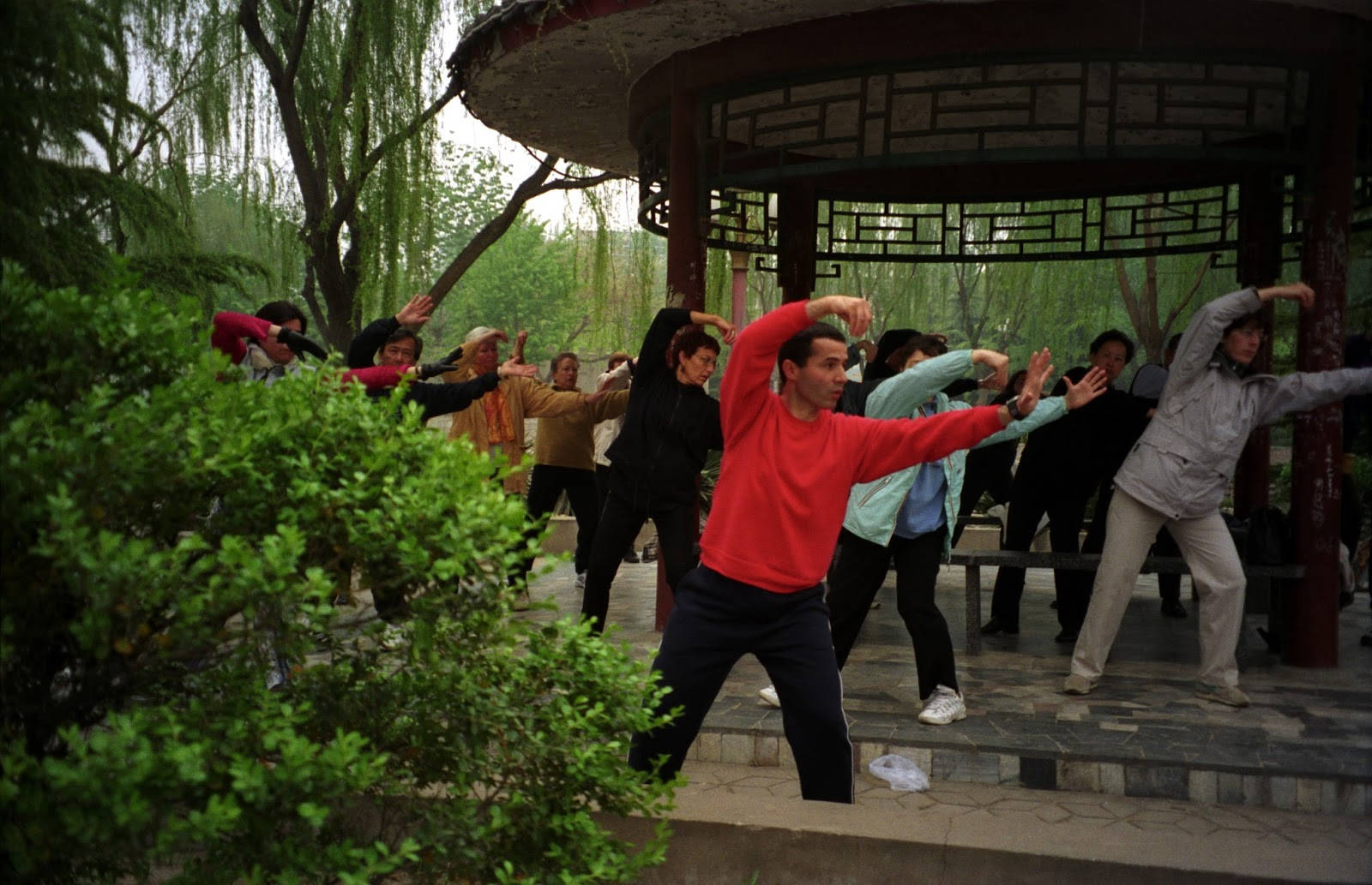 Practitioner Engages In Qi Gong Exercise Background