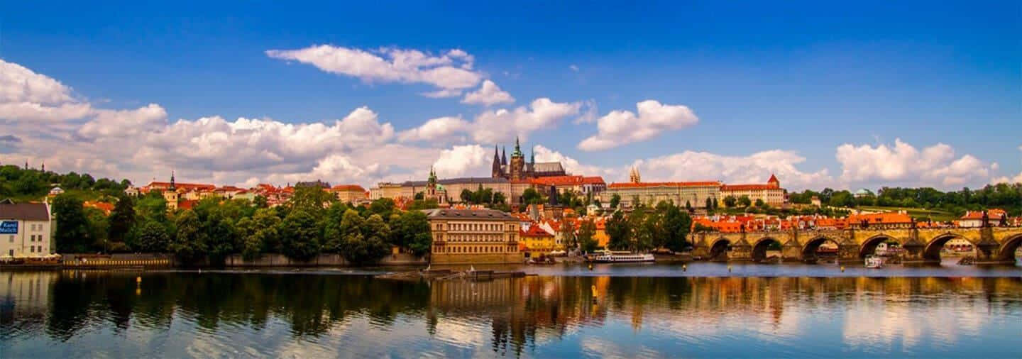 Prague Castle Half Length Hd