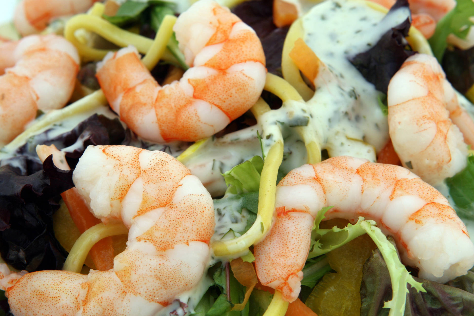 Prawns And Noodles Fresh Salad Background