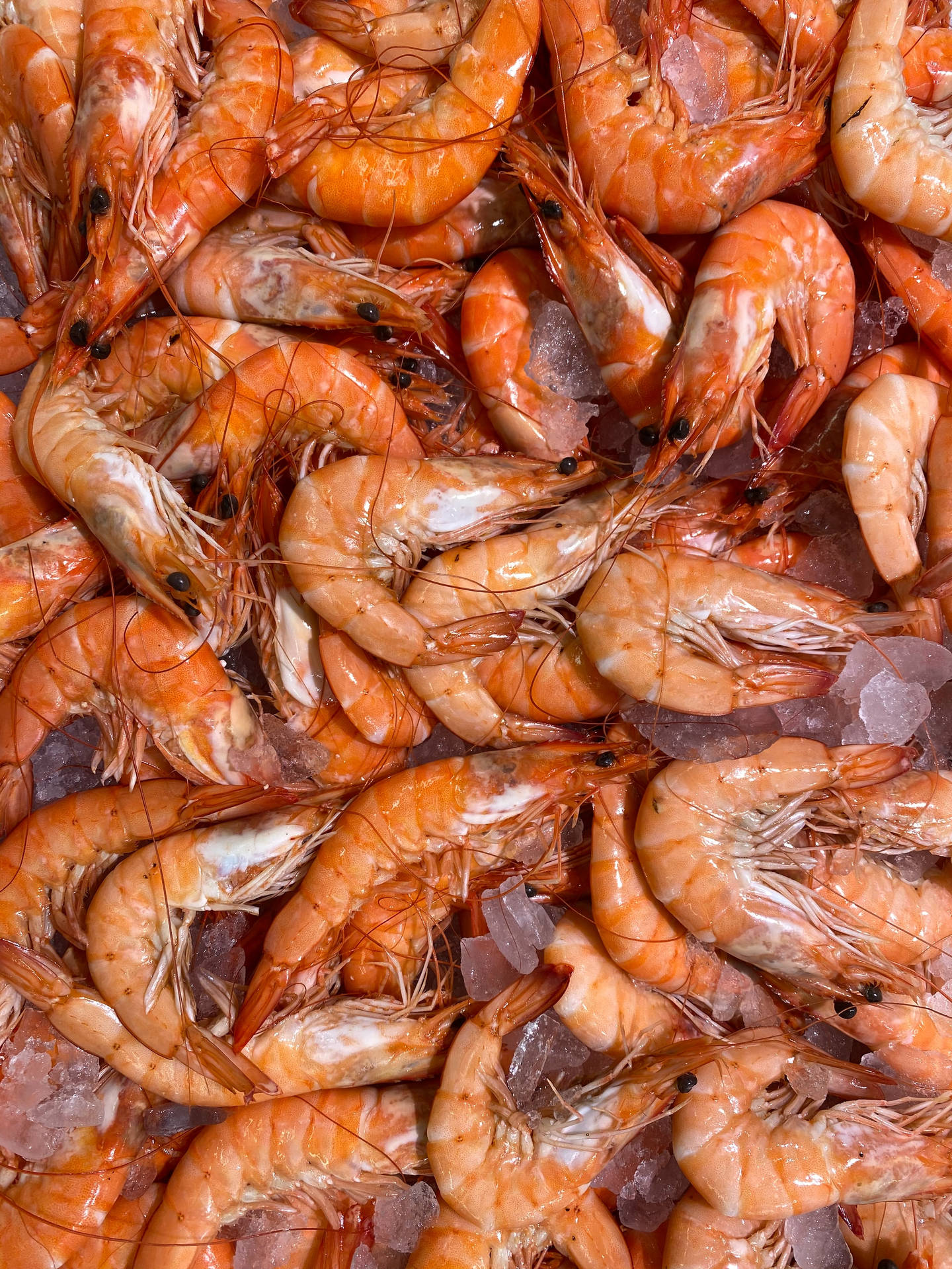 Prawns And Shrimps On Ice Background