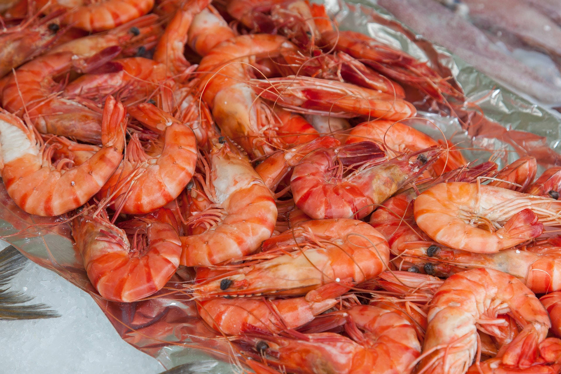 Prawns Served On A Silver Foil Background