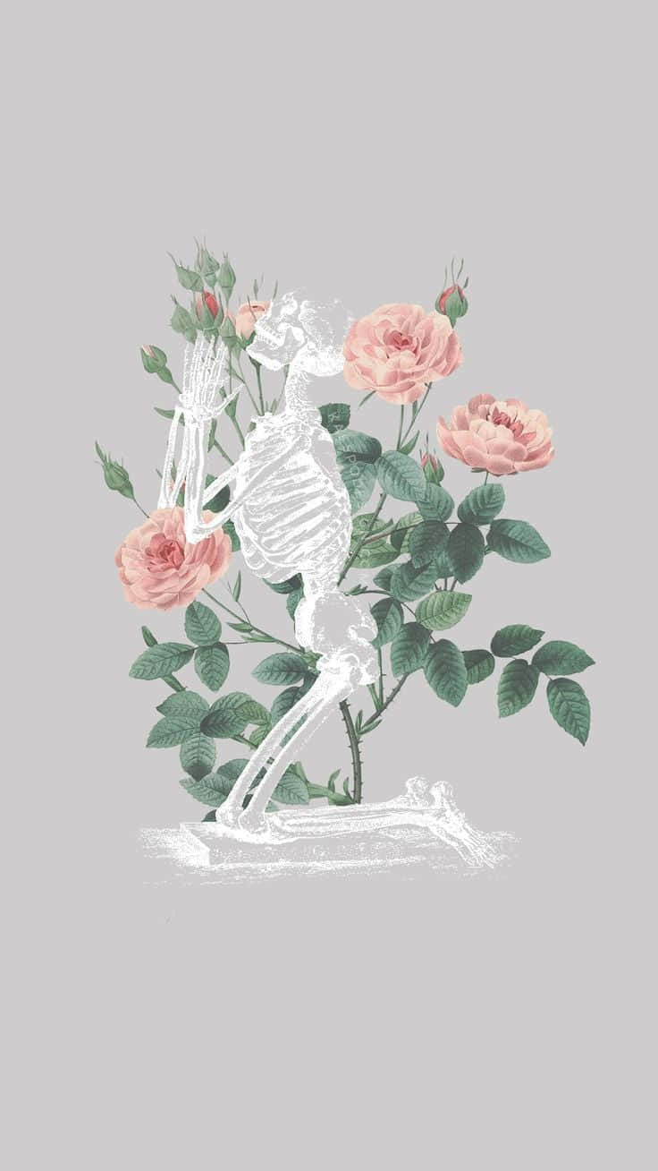Praying Skeleton Floral Aesthetic Iphone