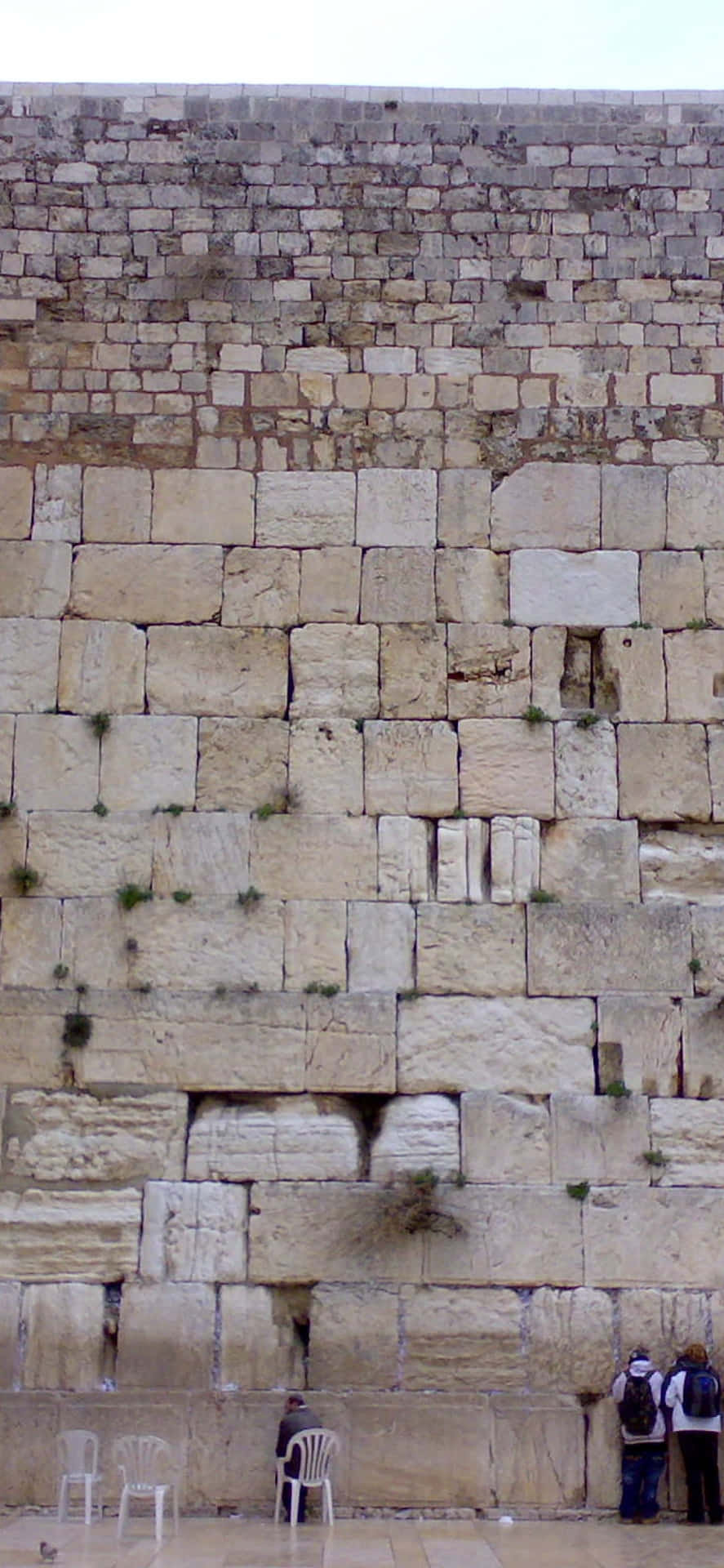 Praying Under Rain Wailing Wall Background