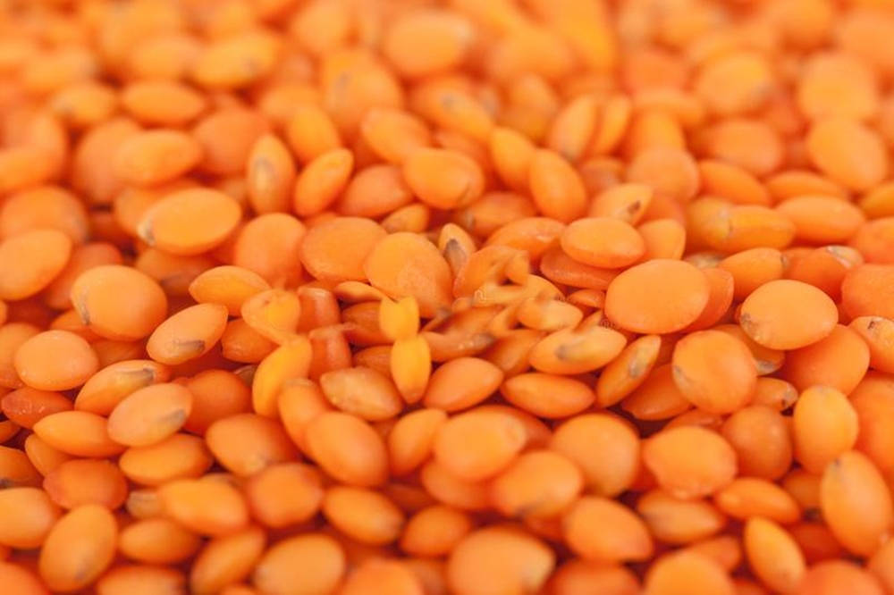 Precise Close-up Of Vibrant Orange Lentils