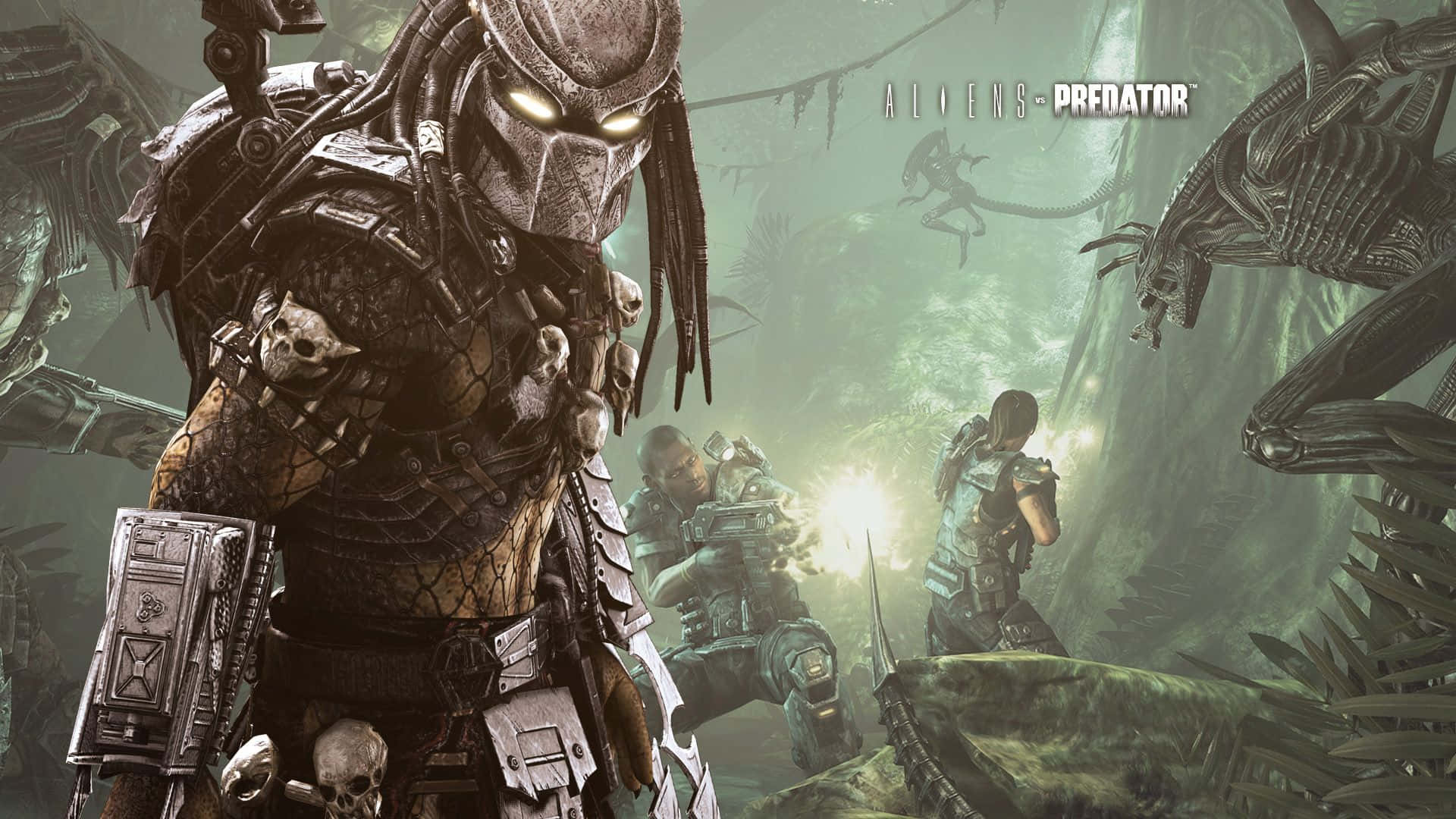 Predator Celtic In Alien Vs Predator