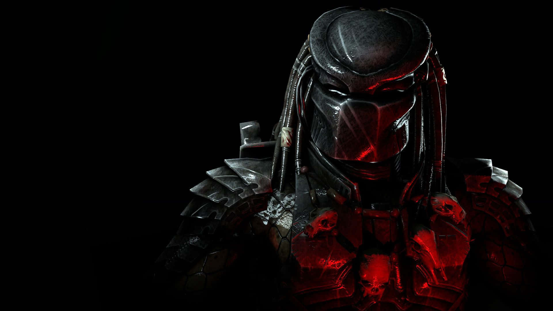 Predator Predator Hd Wallpaper Background