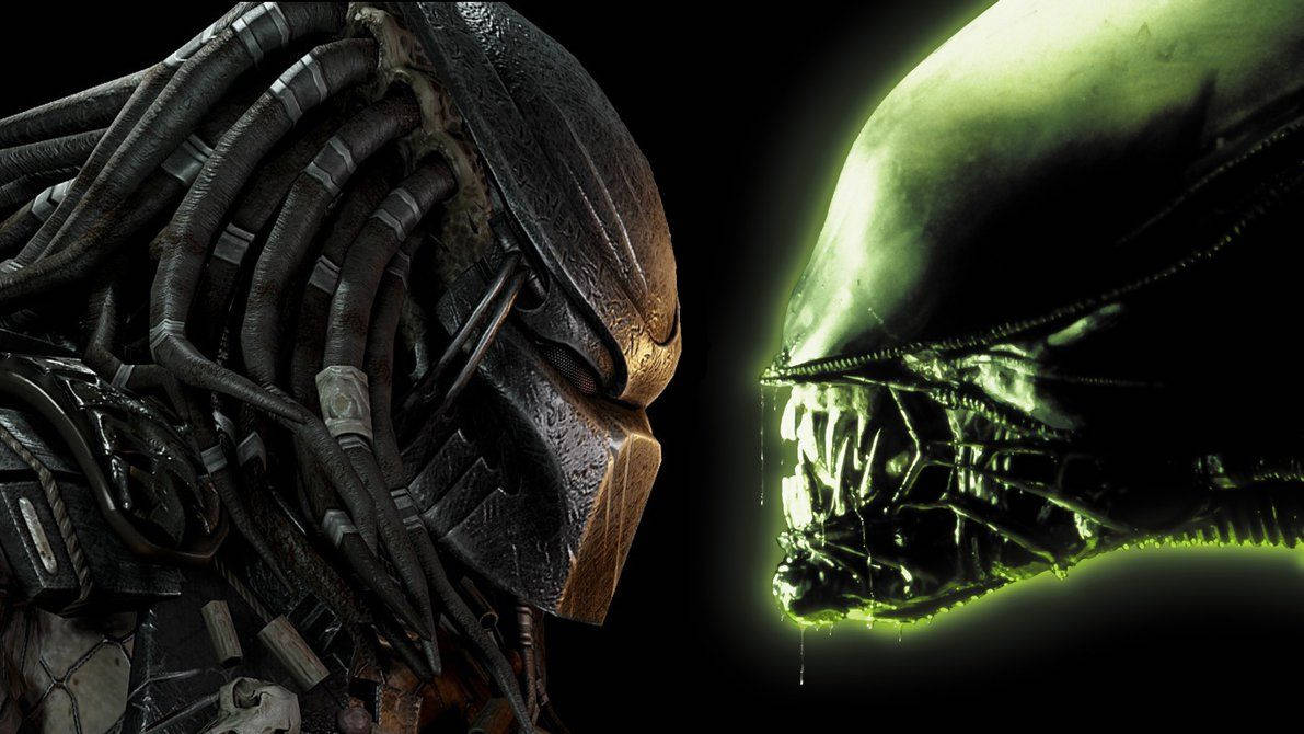 Predator Versus Alien Background