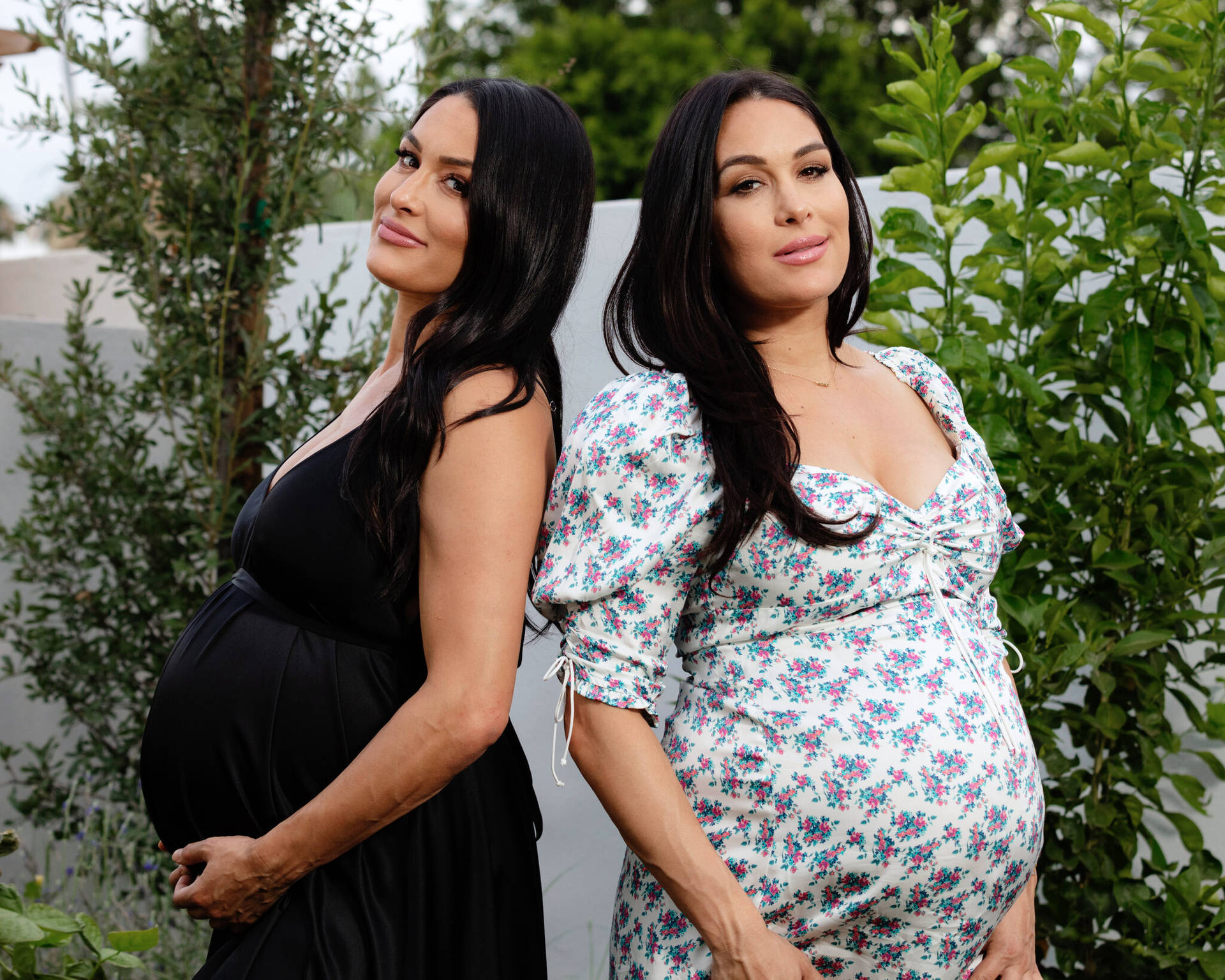 Pregnant Bella Twins Background