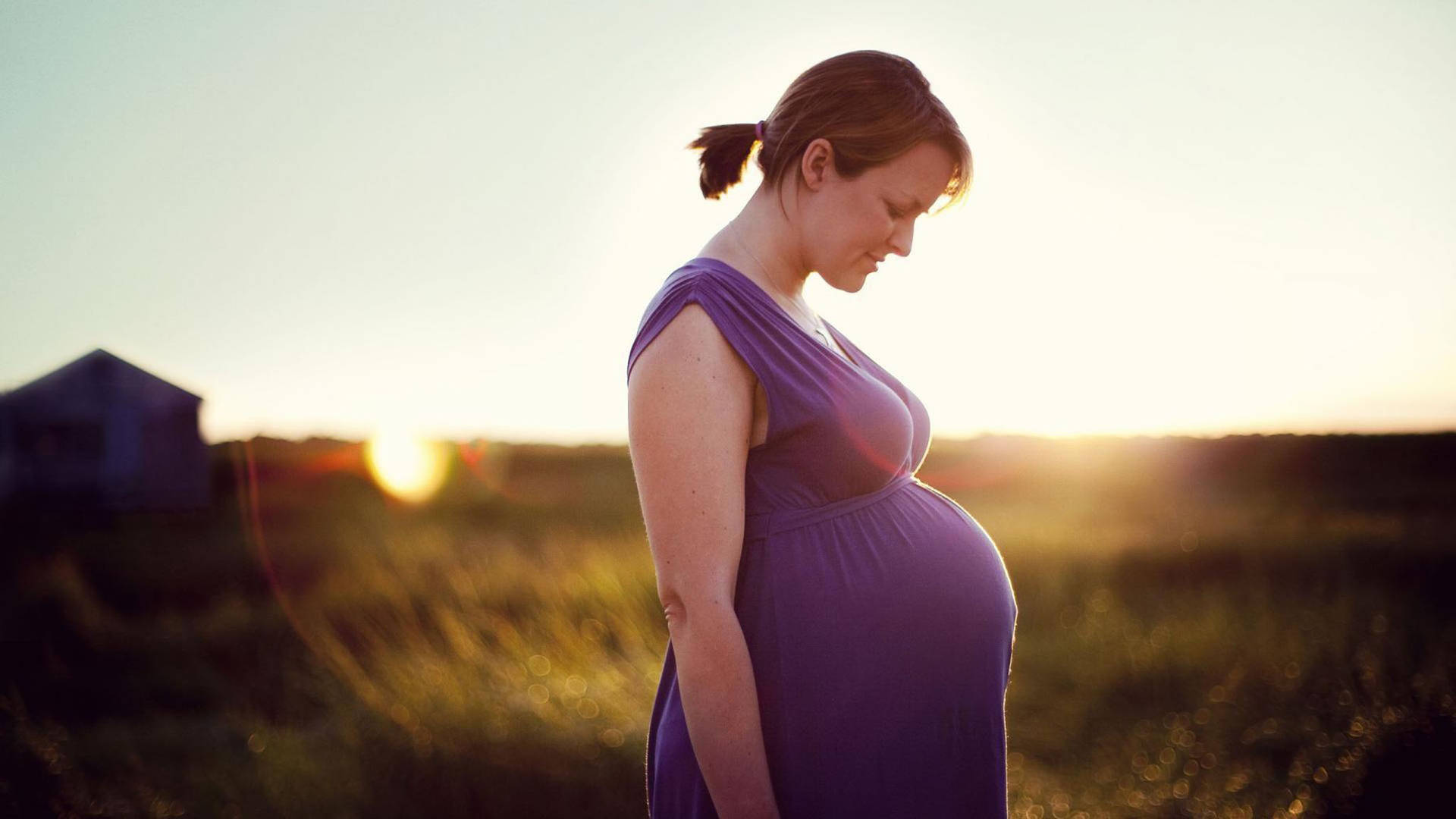 Pregnant Meadow Photoshoot Background